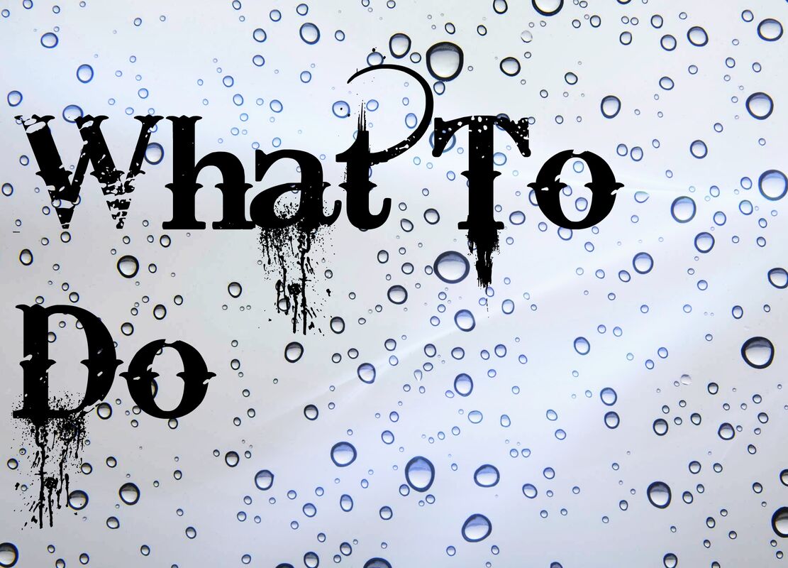 What To Do What To Do