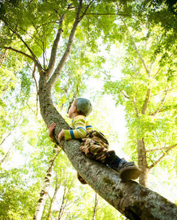 Yesterday Once More Yesterday Once More