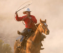 Giddy Up Old Fellow