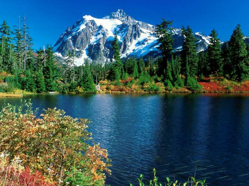 The Colours Of Nature The Colours Of Nature