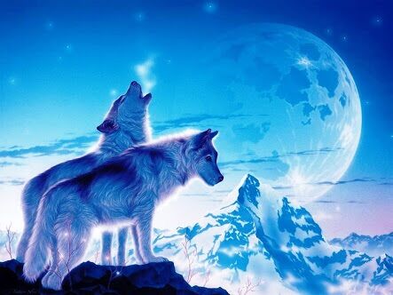 One sky blue 