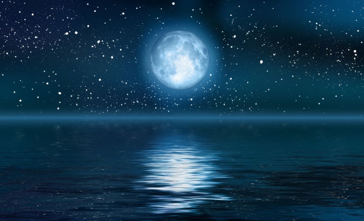 Night Moves Night Moves