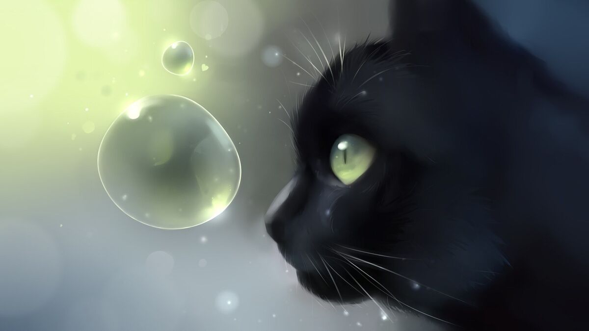 Your Whiskers