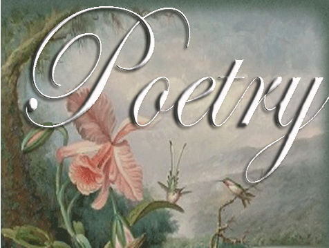 Poetry Is The Vehicle Poetry Is The Vehicle