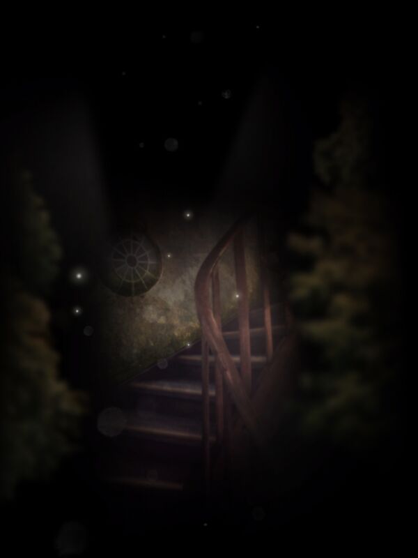 Night that fight the light Night that fight the light
