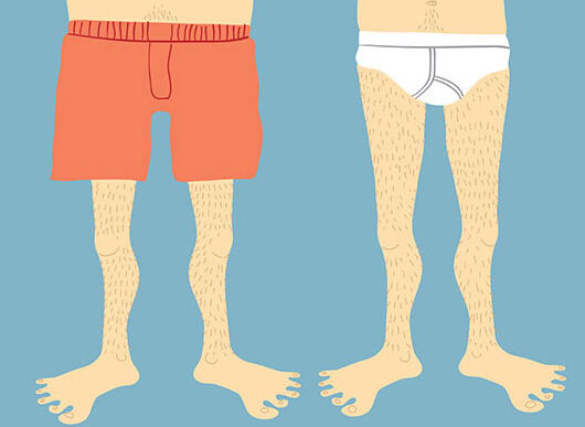 Boxers Or Briefs Boxers Or Briefs