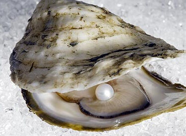 The World Is Our Oyster