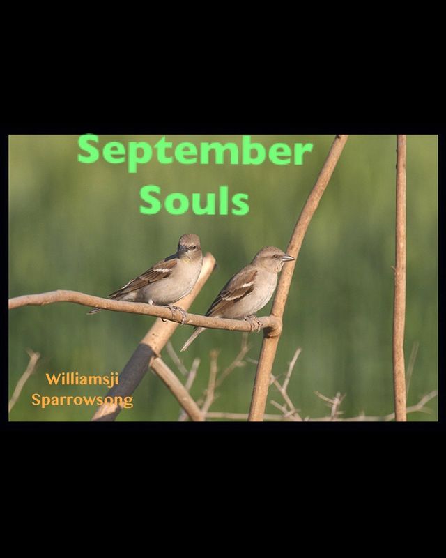 SEPTEMBER SOULS: DAY 3 WILLIAMSJI MAVELI CO-WRITES WITH SPARROWSONG, I SING FOR YOU..