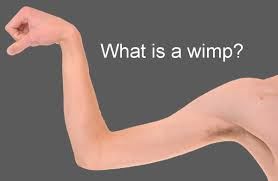 &quot; WHAT IS A WIMP !?&quot;X