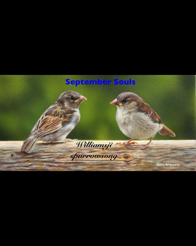 SEPTEMBER SOULS: DAY 4 SPARROWSONG CO-WRITES WITH WILLIAMSJI MAVELI ,WHEN I  TOUCH