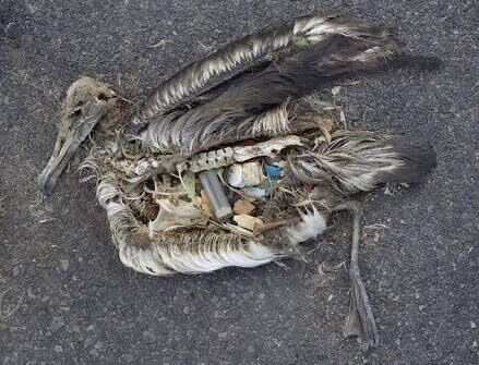 When the earth is gone 
