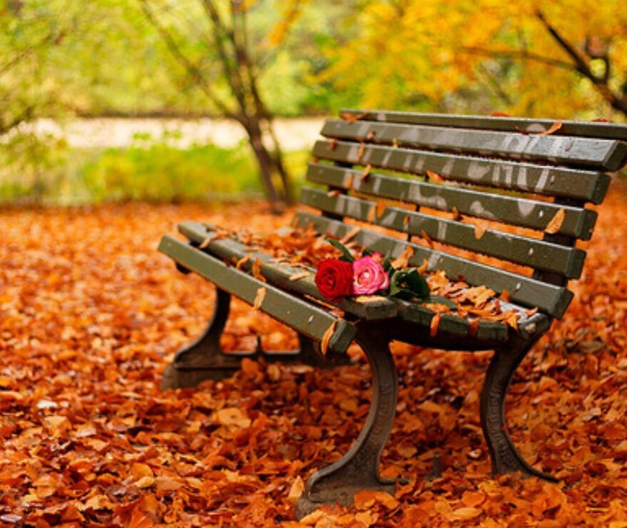 Autumn's Magic Autumn's Magic