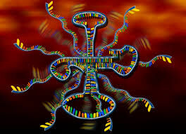 RNA World RNA World