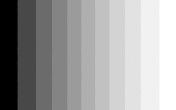 Gray Matter