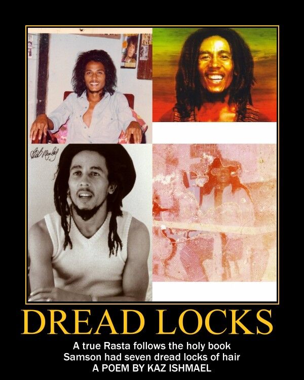 Dread locks Dread locks