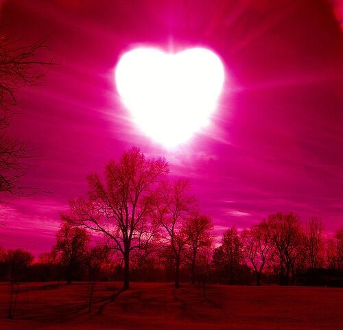 A passionate love A passionate love