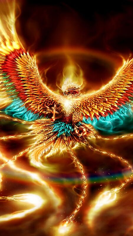 " THE PHOENIX NIMBI " " THE PHOENIX NIMBI "
