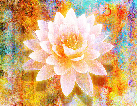The Joy Of Life The Joy Of Life