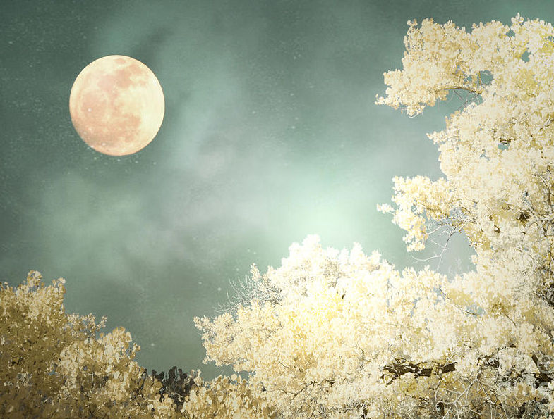 The Mellow Light Of The Moon The Mellow Light Of The Moon