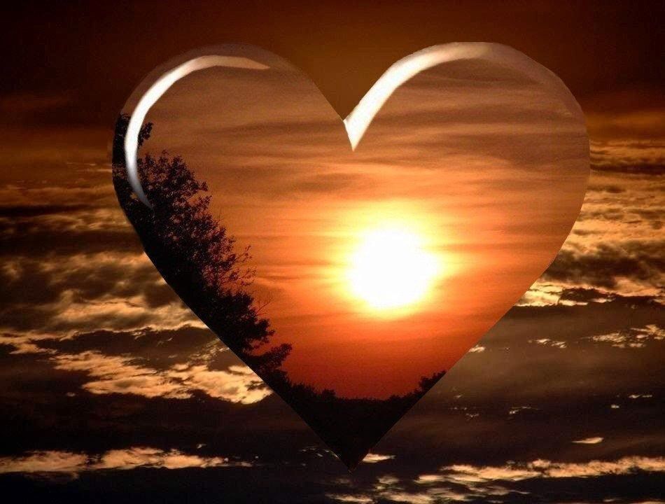 My sweet love My sweet love