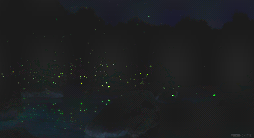 Fireflies of Time Fireflies of Time