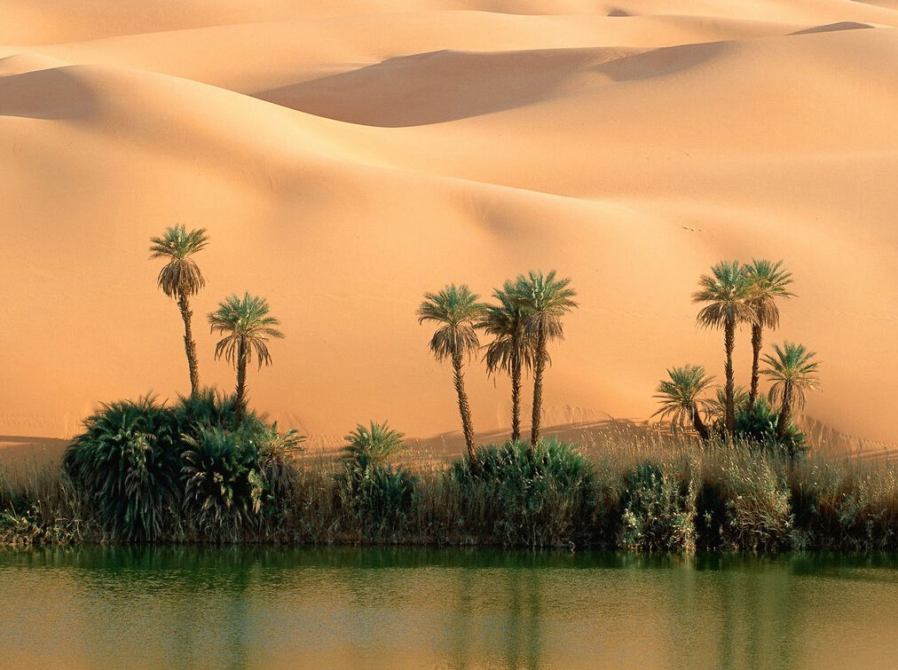 Our Own Little Oasis Our Own Little Oasis