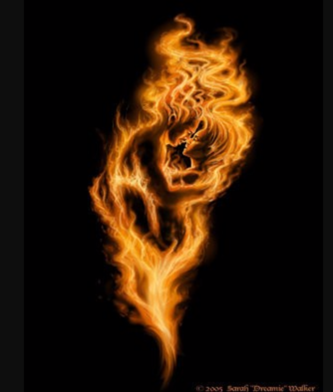 Body's Wild Fire Body's Wild Fire