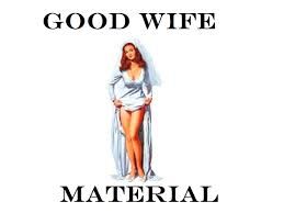 " GOOD WIFE MATERIAL !?" X " GOOD WIFE MATERIAL !?" X