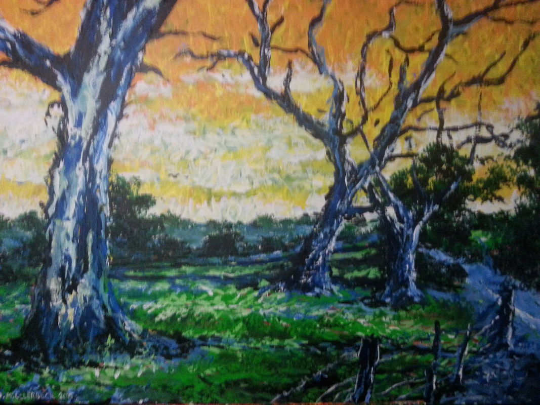 trees with yellow sky