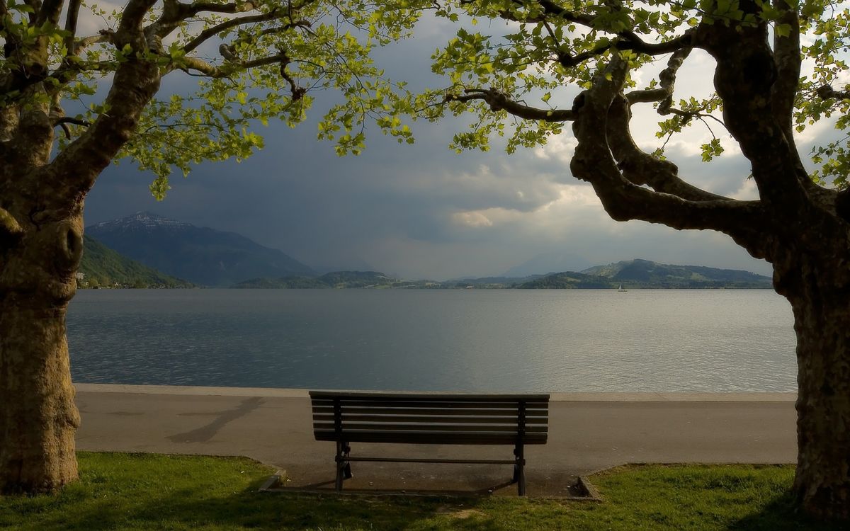 Park Bench Ponderings Park Bench Ponderings
