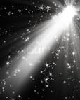 Spotlights Spotlights
