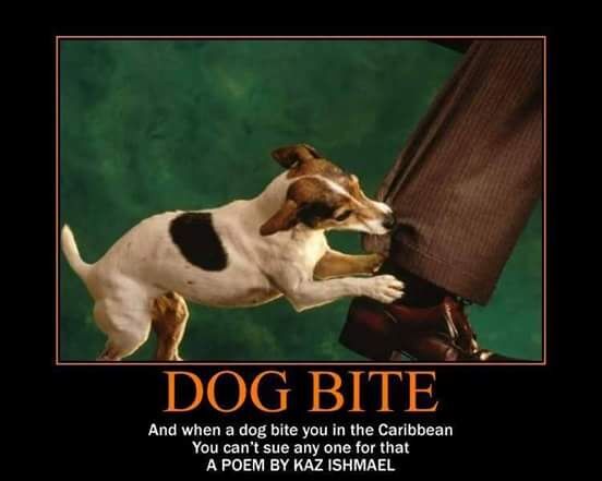 dog bite