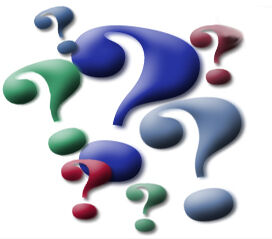 A Bunch Of "Why's" A Bunch Of "Why's"