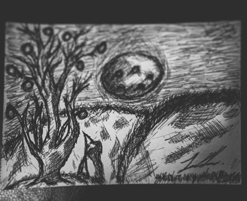 The Life of Night