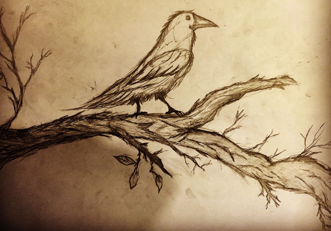 Bird Branch Bird Branch