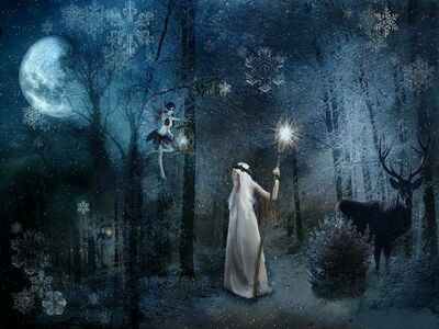 " THE WONDERMENT " " THE WONDERMENT "