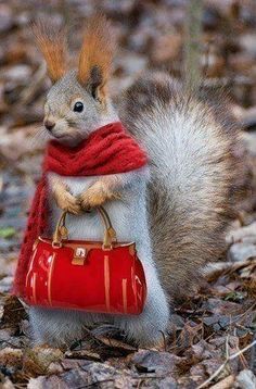 " BERYL.S 1ST DATE...WHOSE LATE !?"X " BERYL.S 1ST DATE...WHOSE LATE !?"X