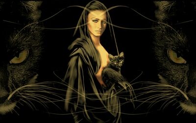 " FERAL FELINE " " FERAL FELINE "