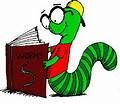 The Bookworm The Bookworm