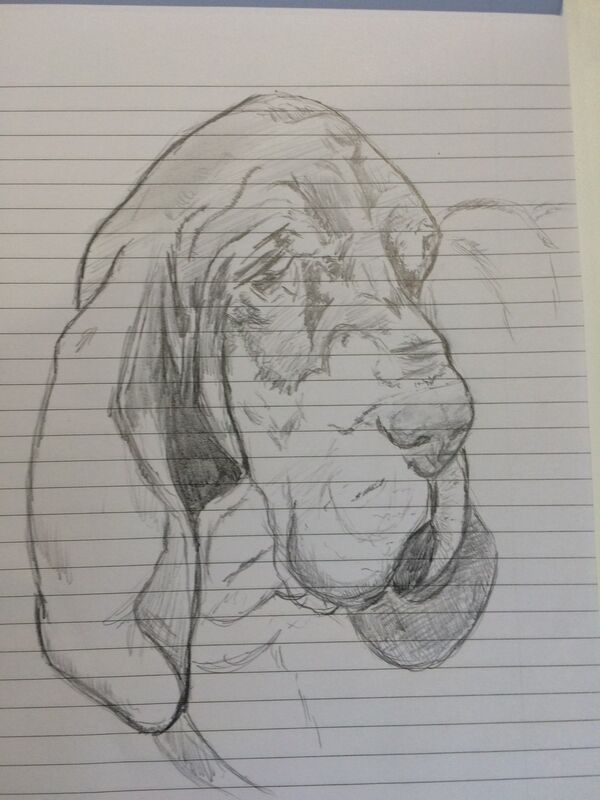 warm up basic sketch warm up basic sketch
