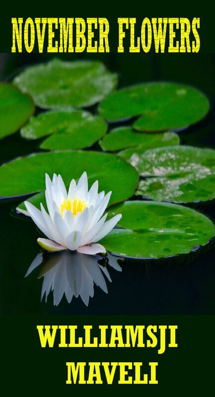 NOVEMBER FLOWERS : DAY 3 WILLIAMSJI MAVELI WRITES, GO AND BLOSSOM, LOVELY LOTUS NOVEMBER FLOWERS : DAY 3 WILLIAMSJI MAVELI WRITES, GO AND BLOSSOM, LOVELY LOTUS