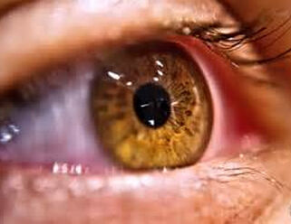 A Window To My Soul A Window To My Soul