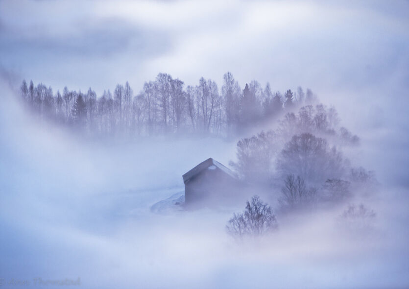 From Out Of The Mist From Out Of The Mist