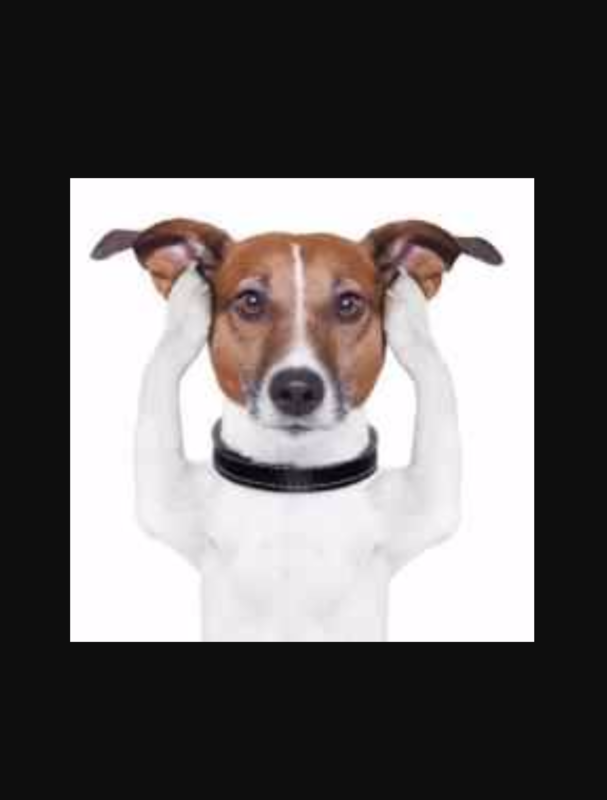 Selective Hearing Selective Hearing