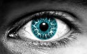 Eyes Eyes