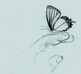 The Gentle Soft Side Of Love The Gentle Soft Side Of Love