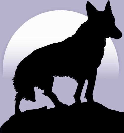 Red Eyed Dog Red Eyed Dog