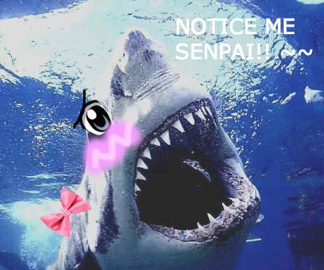 Can I have your attention, please?!?