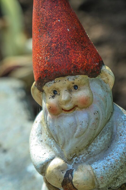 Russian Gnomes Russian Gnomes