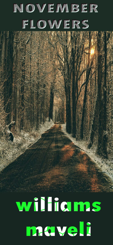 NOVEMBER FLOWERS :  DAY 28 WILLIAMS MAVELI WRITES, I WAS INSIDE THE DARK WOODS